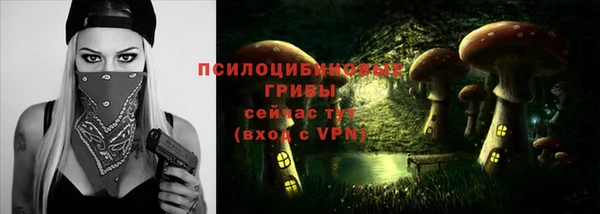 крисы Алексин